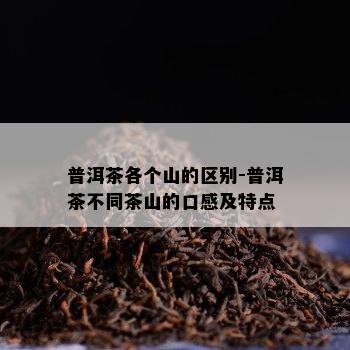 普洱茶各个山的区别-普洱茶不同茶山的口感及特点