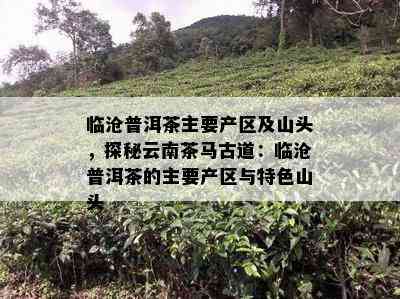 临沧普洱茶主要产区及山头，探秘云南茶马古道：临沧普洱茶的主要产区与特色山头