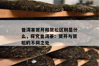 普洱茶贺开和贺松区别是什么，探究普洱茶：贺开与贺松的不同之处