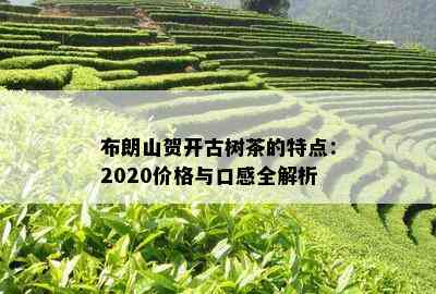 布朗山贺开古树茶的特点：2020价格与口感全解析