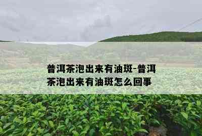 普洱茶泡出来有油斑-普洱茶泡出来有油斑怎么回事