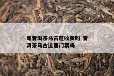 走普洱茶马古道收费吗-普洱茶马古道要门票吗