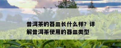 普洱茶的器皿长什么样？详解普洱茶使用的器皿类型