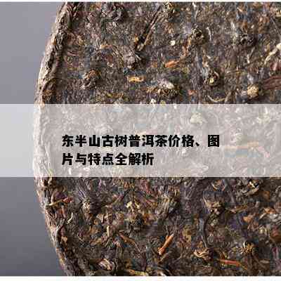 东半山古树普洱茶价格、图片与特点全解析