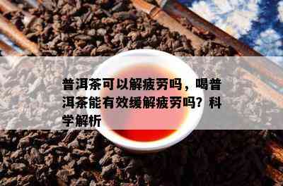 普洱茶可以解疲劳吗，喝普洱茶能有效缓解疲劳吗？科学解析