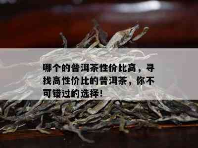 哪个的普洱茶性价比高，寻找高性价比的普洱茶，你不可错过的选择！