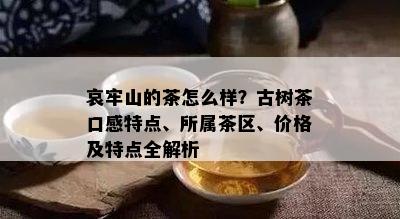 哀牢山的茶怎么样？古树茶口感特点、所属茶区、价格及特点全解析