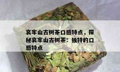 哀牢山古树茶口感特点，探秘哀牢山古树茶：独特的口感特点