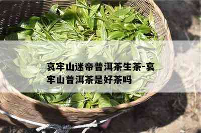 哀牢山迷帝普洱茶生茶-哀牢山普洱茶是好茶吗