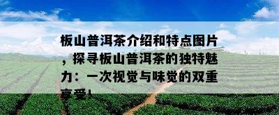 板山普洱茶介绍和特点图片，探寻板山普洱茶的独特魅力：一次视觉与味觉的双重享受！