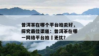 普洱茶在哪个平台拍卖好，探究更佳渠道：普洱茶在哪一网络平台拍賣更优？