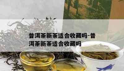 普洱茶新茶适合收藏吗-普洱茶新茶适合收藏吗