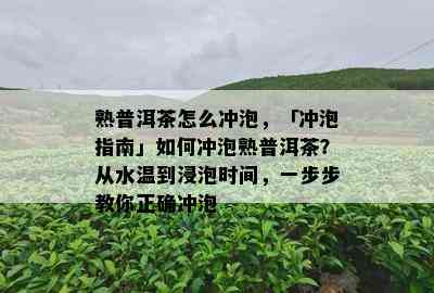 熟普洱茶怎么冲泡，「冲泡指南」如何冲泡熟普洱茶？从水温到浸泡时间，一步步教你正确冲泡