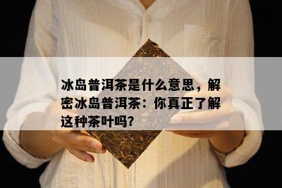 冰岛普洱茶是什么意思，解密冰岛普洱茶：你真正了解这种茶叶吗？