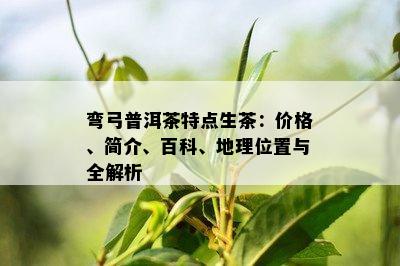 弯弓普洱茶特点生茶：价格、简介、百科、地理位置与全解析