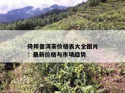 倚邦普洱茶价格表大全图片：最新价格与市场趋势