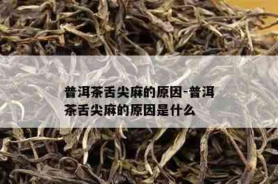 普洱茶舌尖麻的原因-普洱茶舌尖麻的原因是什么