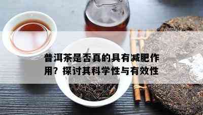 普洱茶是否真的具有减肥作用？探讨其科学性与有效性