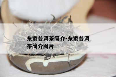 东家普洱茶简介-东家普洱茶简介图片