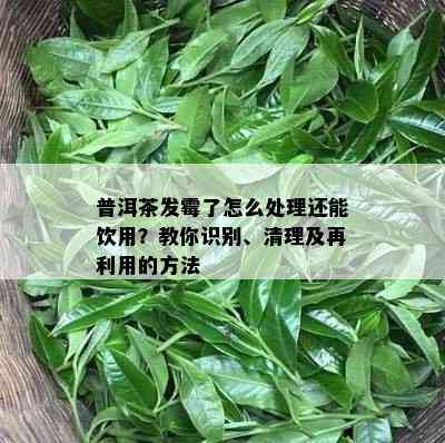 普洱茶发霉了怎么处理还能饮用？教你识别、清理及再利用的方法