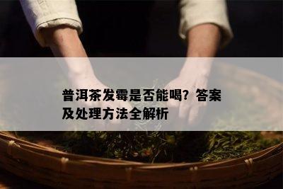 普洱茶发霉是否能喝？答案及处理方法全解析