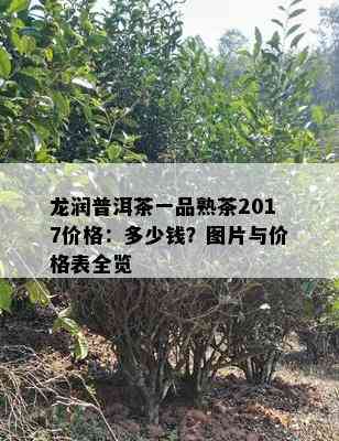 龙润普洱茶一品熟茶2017价格：多少钱？图片与价格表全览