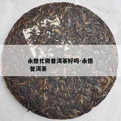 永德忙岗普洱茶好吗-永德 普洱茶