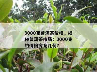 3000克普洱茶价格，揭秘普洱茶市场：3000克的价格究竟几何？