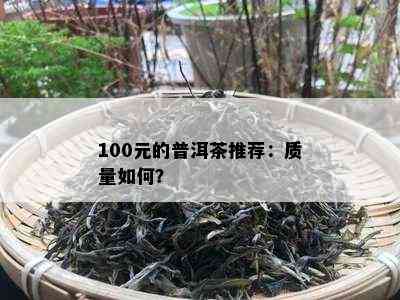 100元的普洱茶推荐：质量如何？