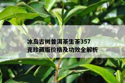 冰岛古树普洱茶生茶357克珍藏版价格及功效全解析