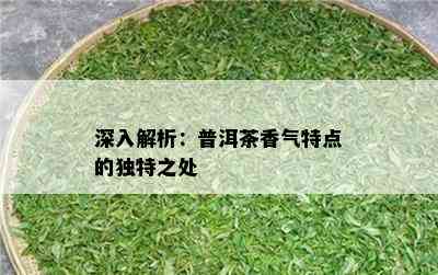 深入解析：普洱茶香气特点的独特之处