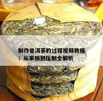 制作普洱茶的过程视频教程：从采摘到压制全解析