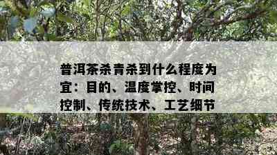 普洱茶杀青杀到什么程度为宜：目的、温度掌控、时间控制、传统技术、工艺细节