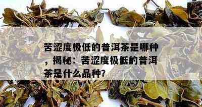 苦涩度极低的普洱茶是哪种，揭秘：苦涩度极低的普洱茶是什么品种？