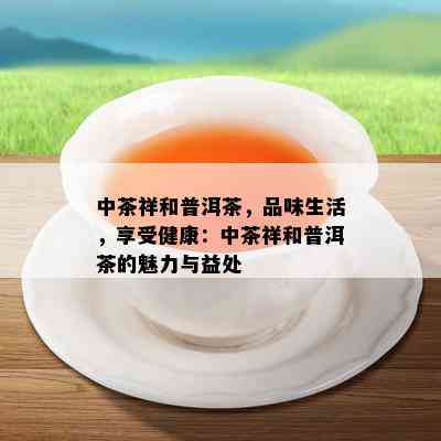 中茶祥和普洱茶，品味生活，享受健康：中茶祥和普洱茶的魅力与益处