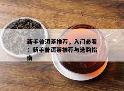 新手普洱茶推荐，入门必看：新手普洱茶推荐与选购指南