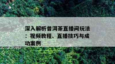 深入解析普洱茶直播间玩法：视频教程、直播技巧与成功案例