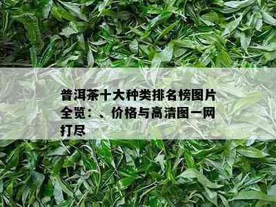 普洱茶十大种类排名榜图片全览：、价格与高清图一网打尽