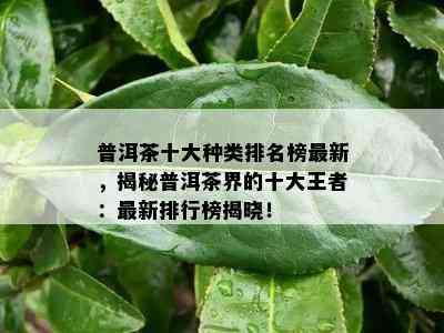 普洱茶十大种类排名榜最新，揭秘普洱茶界的十大王者：最新排行榜揭晓！