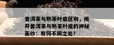 普洱茶与熟茶叶底区别，揭开普洱茶与熟茶叶底的神秘面纱：有何不同之处？