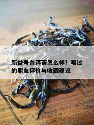 新益号普洱茶怎么样？喝过的朋友评价与收藏建议