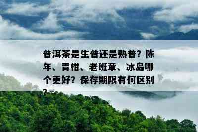 普洱茶是生普还是熟普？陈年、青柑、老班章、冰岛哪个更好？保存期限有何区别？