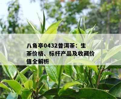 八角亭0432普洱茶：生茶价格、标杆产品及收藏价值全解析