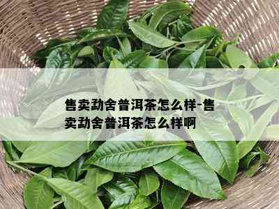 售卖勐舍普洱茶怎么样-售卖勐舍普洱茶怎么样啊