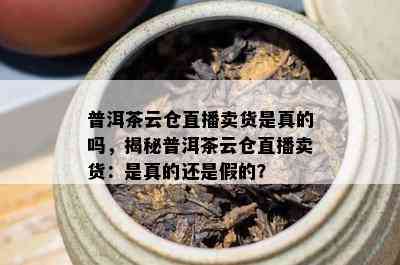 普洱茶云仓直播卖货是真的吗，揭秘普洱茶云仓直播卖货：是真的还是假的？