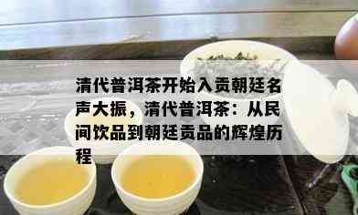 清代普洱茶开始入贡朝廷名声大振，清代普洱茶：从民间饮品到朝廷贡品的辉煌历程