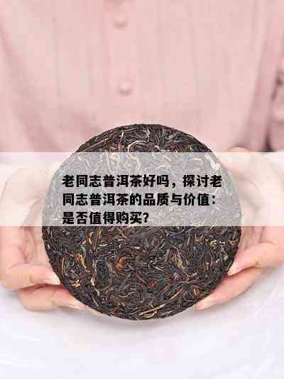 老同志普洱茶好吗，探讨老同志普洱茶的品质与价值：是否值得购买？