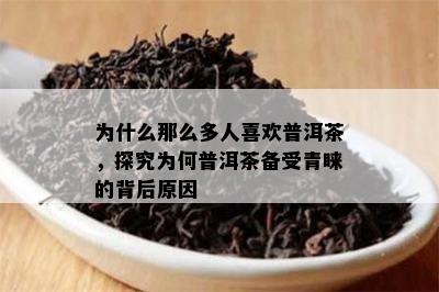 为什么那么多人喜欢普洱茶，探究为何普洱茶备受青睐的背后原因