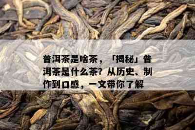 普洱茶是啥茶，「揭秘」普洱茶是什么茶？从历史、制作到口感，一文带你了解