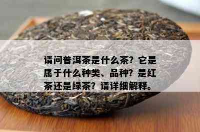 请问普洱茶是什么茶？它是属于什么种类、品种？是红茶还是绿茶？请详细解释。